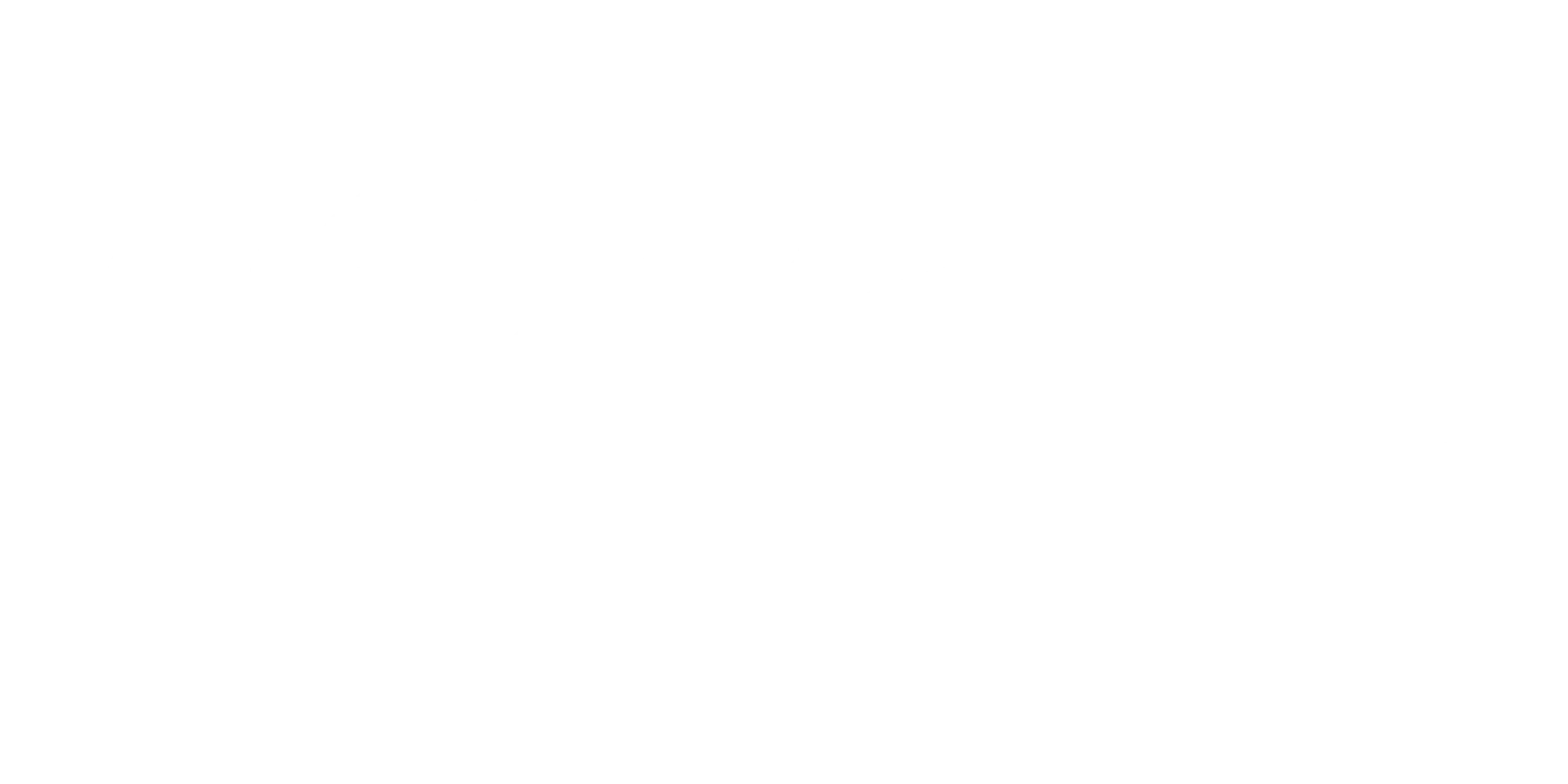 NF Helikoptera